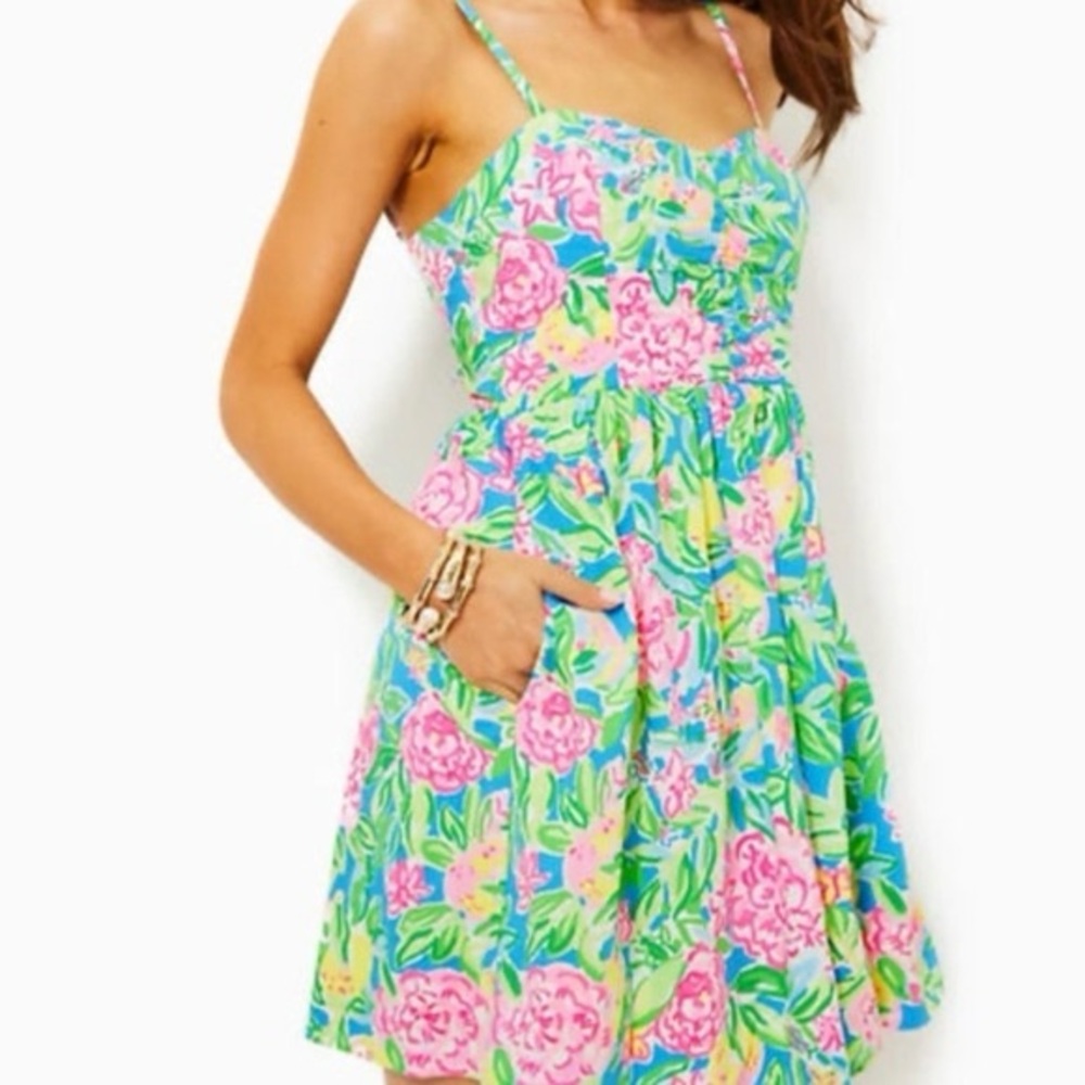 Lilly Pulitzer Ilana Cotton Sundress in the Multi Grove Garden print